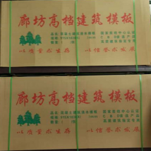 金廣 廊坊金廣高檔清水模板橋梁專用版  廠家直銷 質(zhì)量保證 13663803291